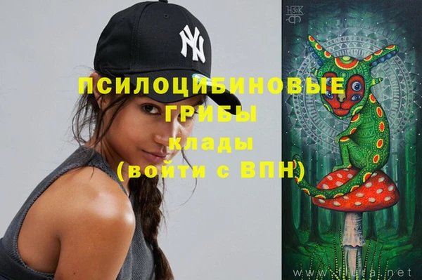 spice Михайловка